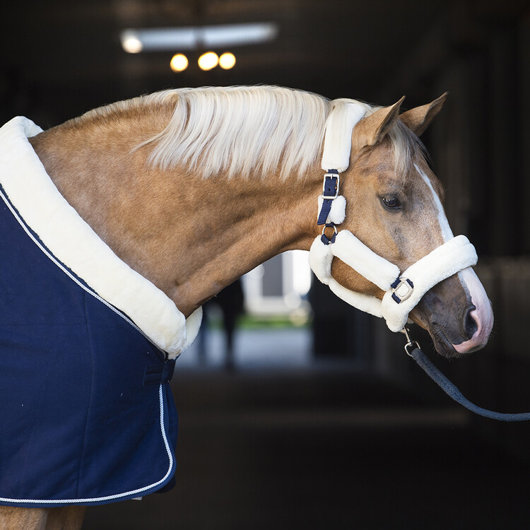 Horsegear Halster Suave
