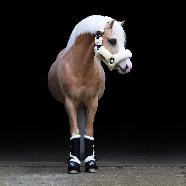 Horsegear Halster Suave