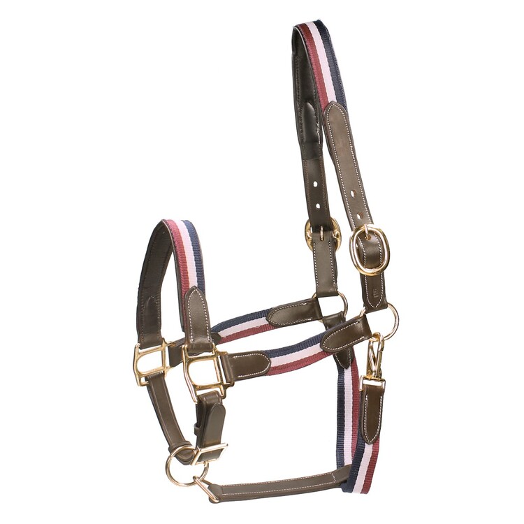 Horsegear Halster Finn