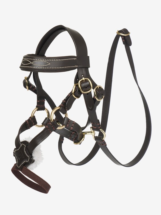 LeMieux Toy Pony Grackle Hoofdstel
