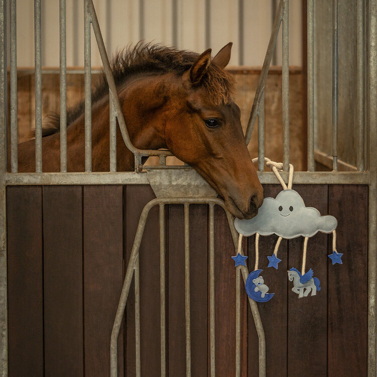 QHP Paardenspeelgoed Novy