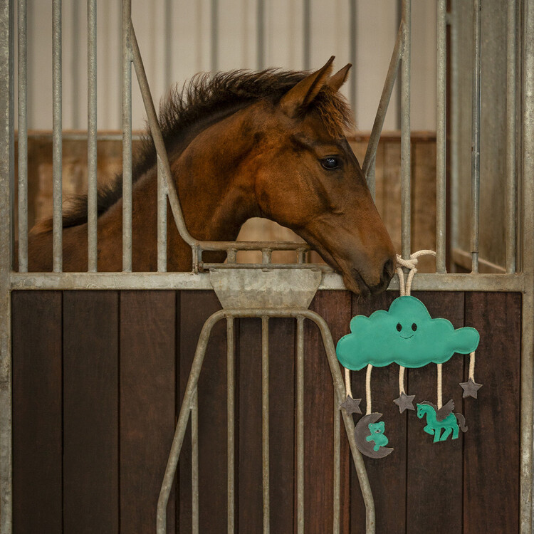 QHP Paardenspeelgoed Novy
