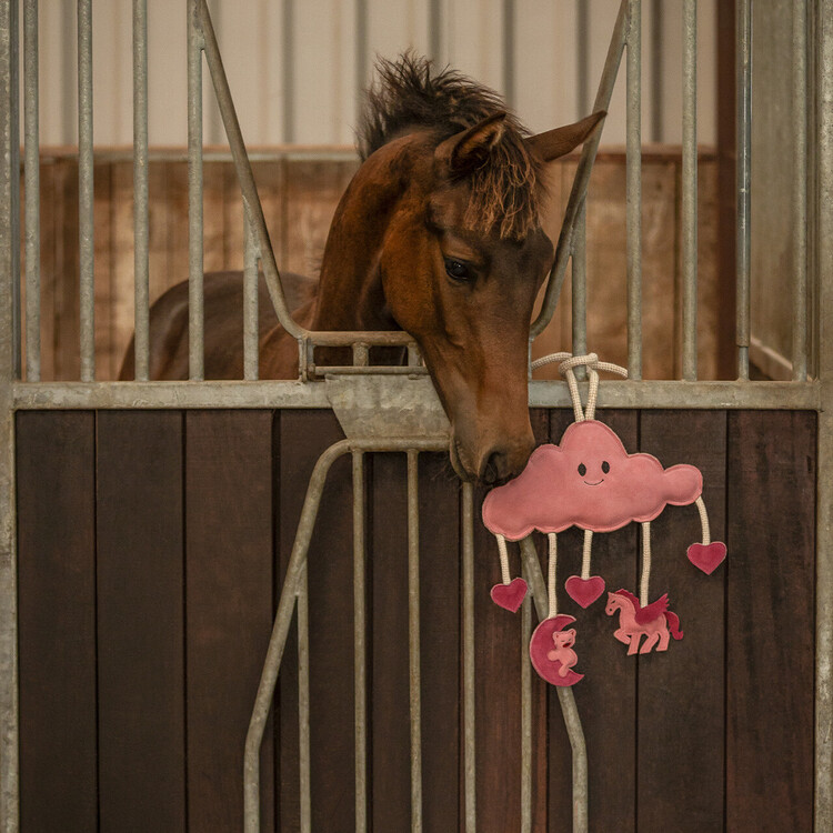 QHP Paardenspeelgoed Novy