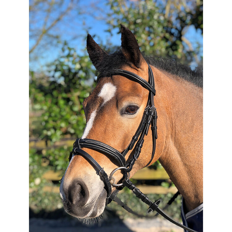 Horsegear Hoofdstel Taron