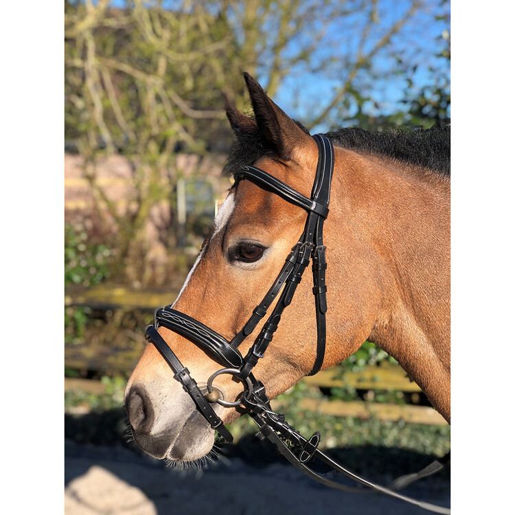 Horsegear Hoofdstel Taron