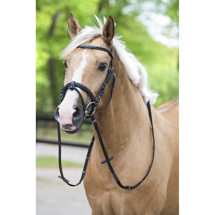 Horsegear Hoofdstel Taron