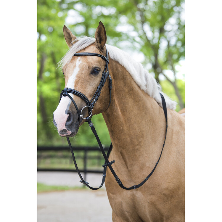 Horsegear Hoofdstel Taron