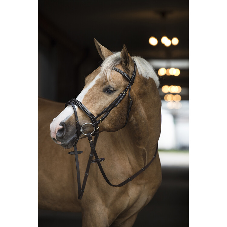Horsegear Hoofdstel Taron