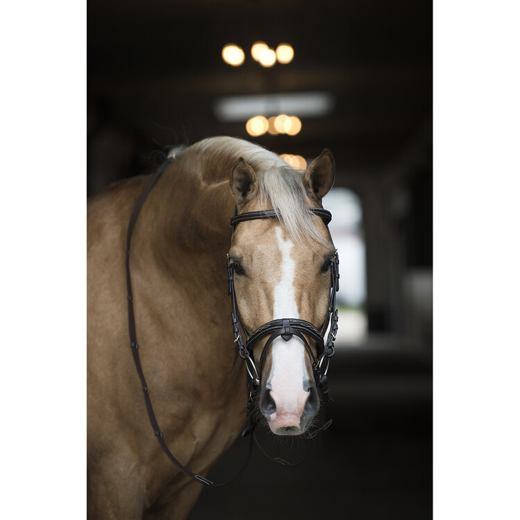 Horsegear Hoofdstel Taron