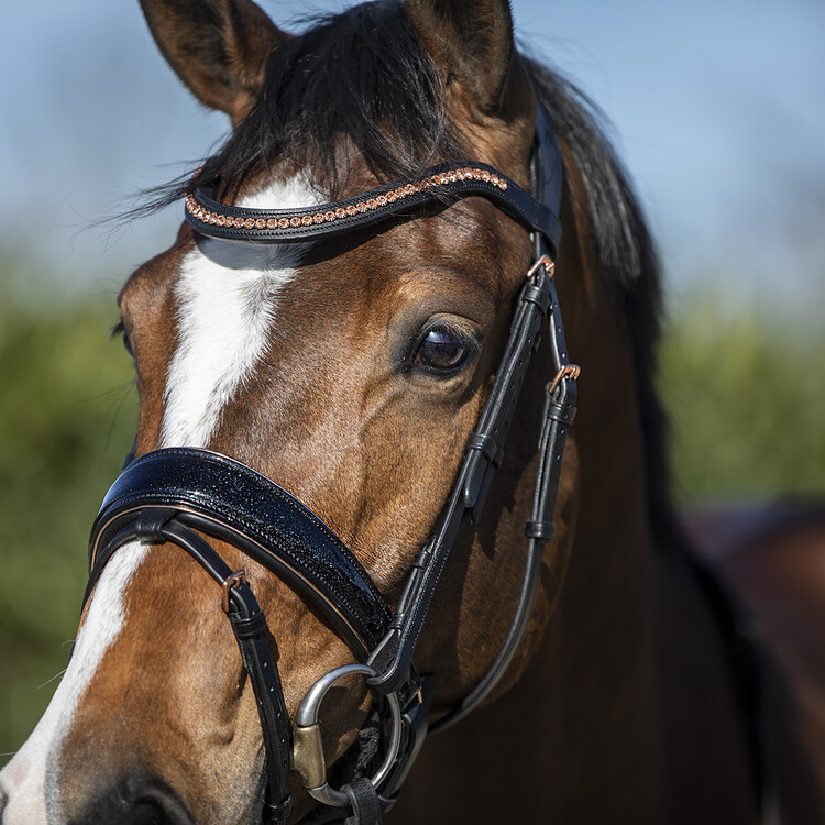 Horsegear Hoofdstel HGBlush