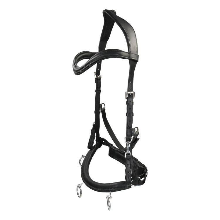 Free Horse Kaptoom leder