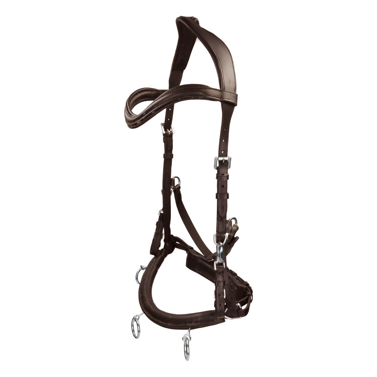 Free Horse Kaptoom leder