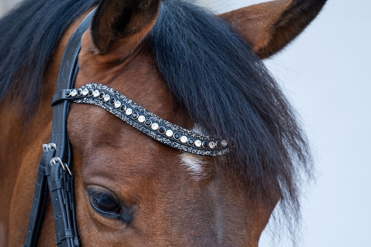 HB Showtime Stang & trens hoofdstel One in a million