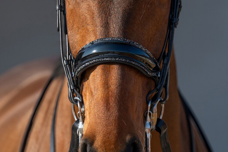 HB Showtime Stang & trens hoofdstel One in a million