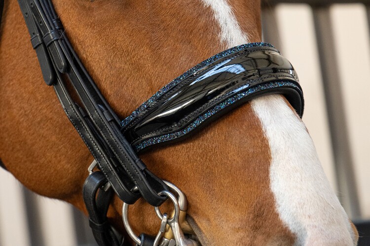 HB Showtime Stang & trens hoofdstel One in a million