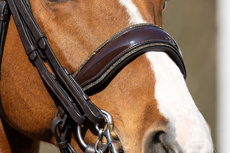 HB Showtime Stang & trens hoofdstel One in a million