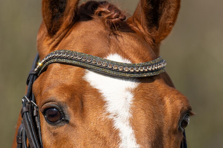 HB Showtime Stang & trens hoofdstel One in a million