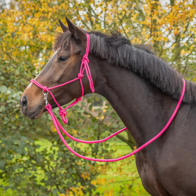 QHP Touwhalster Color met teugel