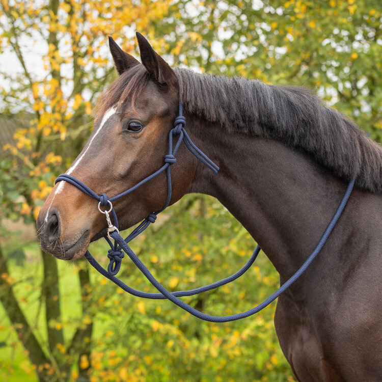 QHP Touwhalster Color met teugel