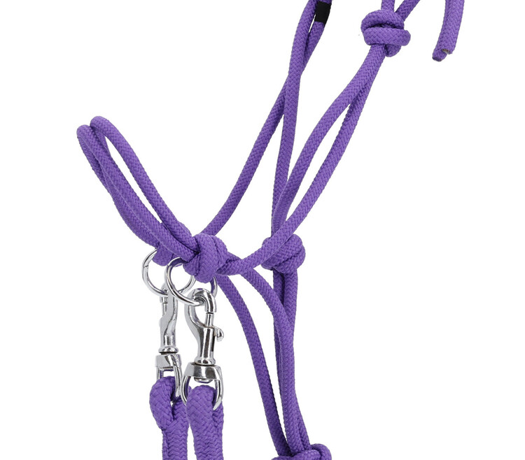QHP Touwhalster Color met teugel