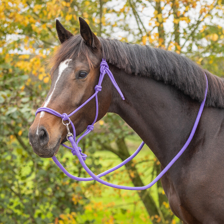 QHP Touwhalster Color met teugel