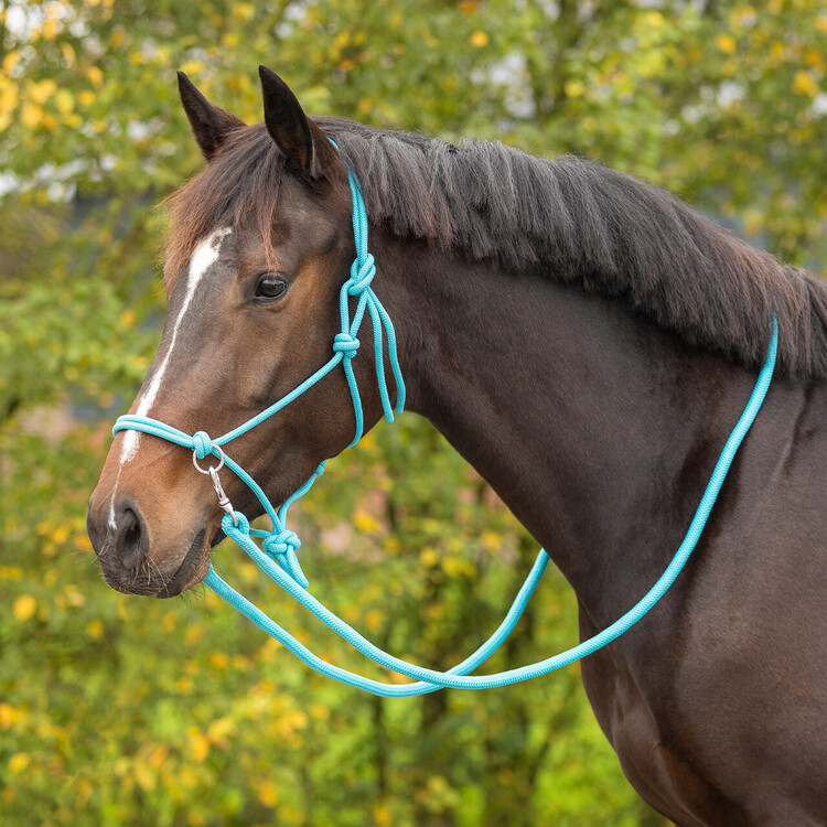 QHP Touwhalster Color met teugel