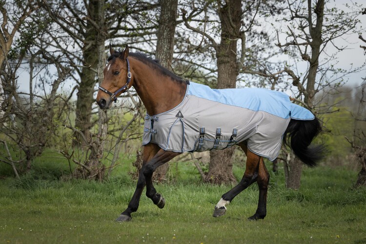 DKR Sports Mini Combo-deken Summer Rain