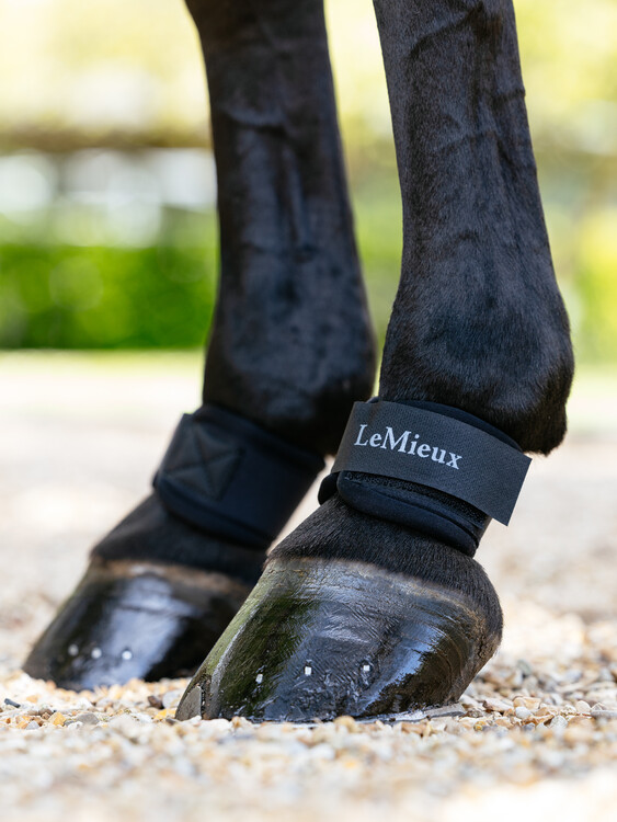 LeMieux Neopreen Pastern Wrap Kootholtebeschermer