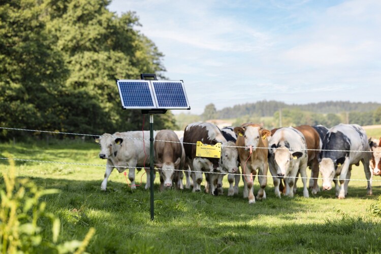 AKO SunPower S3000 schrikdraadapparaat