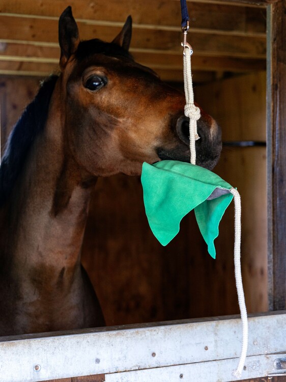 LeMieux Paardenspeelgoed Stingray