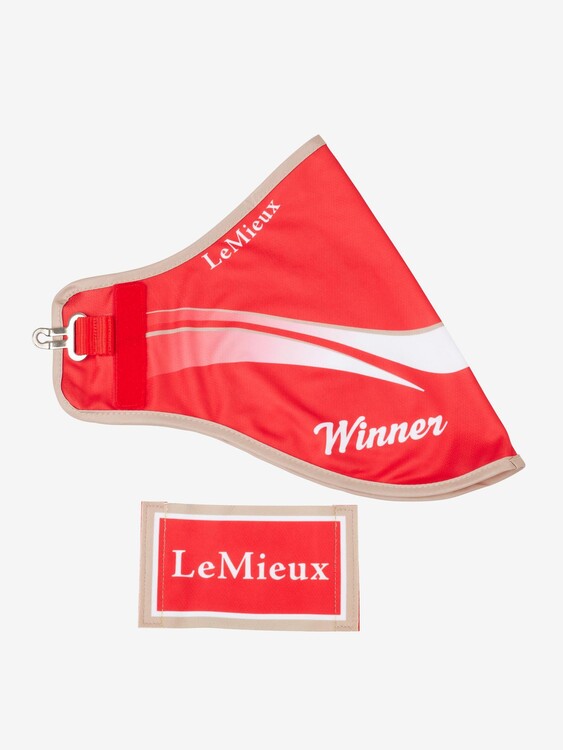 LeMieux Hobby Horse Winners Deken