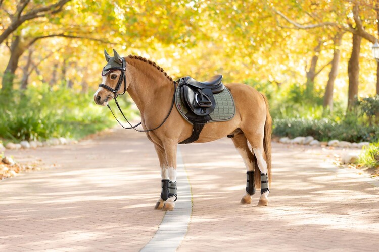LeMieux Zadeldek Mini Close Contact Square