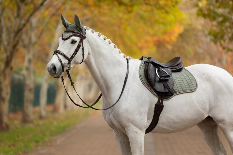 LeMieux Classic Oornetje 