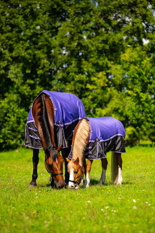 DKR Sports Outdoordeken Luxe 150grs