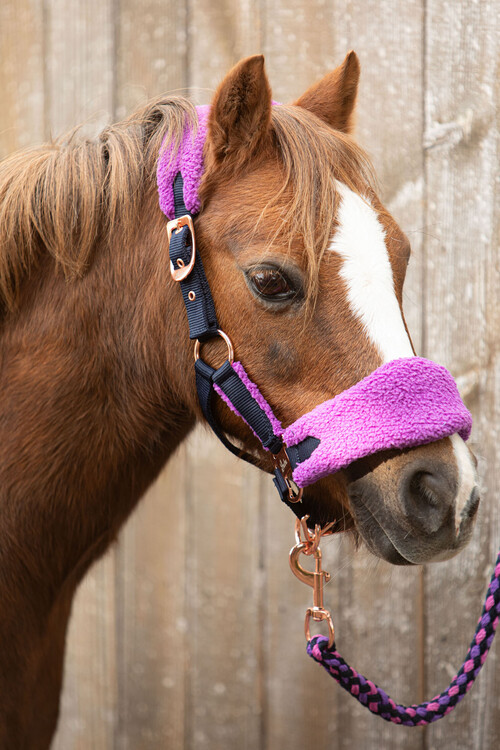 Harry's Horse Halsterset LouLou Royce