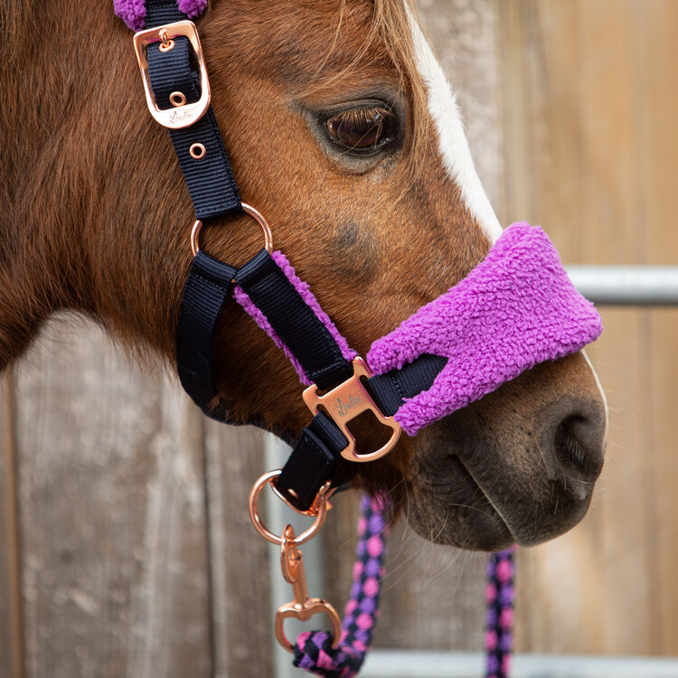 Harry's Horse Halsterset LouLou Royce