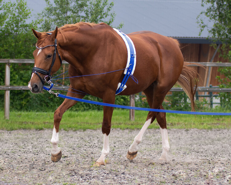 QHP Longeerlijn Soft