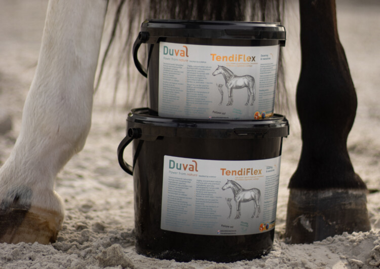 Duval Tendiflex Puur | 1,5kg 