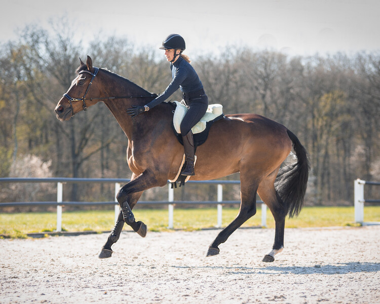 QHP Bareback pad super soft