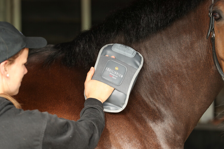 Equilibrium Hot Spot Massage Mitt
