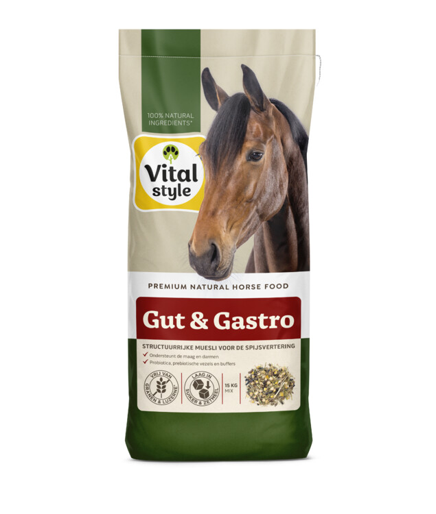 VITALstyle Muesli Gut & Gastro 15kg