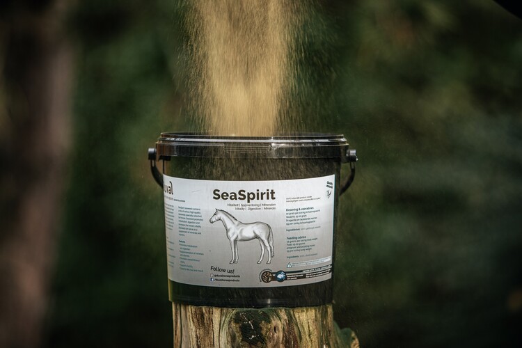 Duval Seaspirit Zeewierpoeder | 6kg