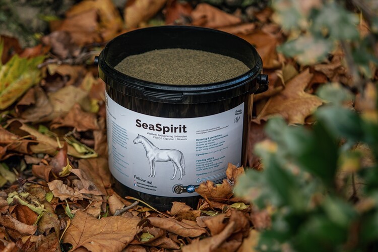 Duval Seaspirit Zeewierpoeder | 6kg