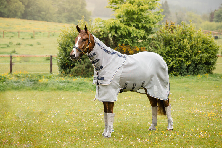 Horseware Rambo Protector