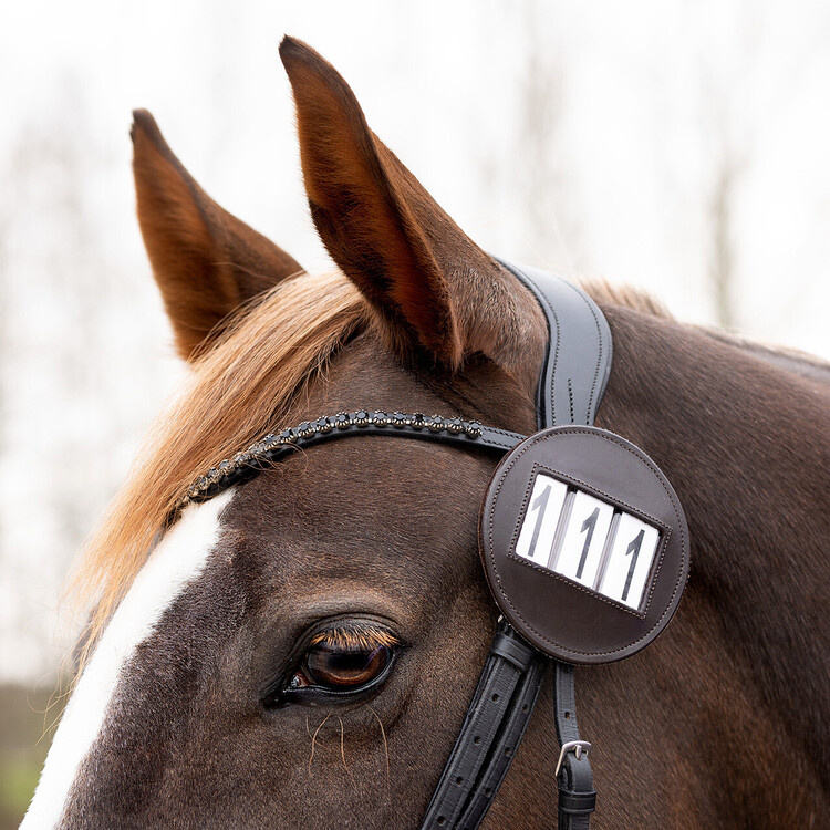 QHP Nummerhouder Modeste round
