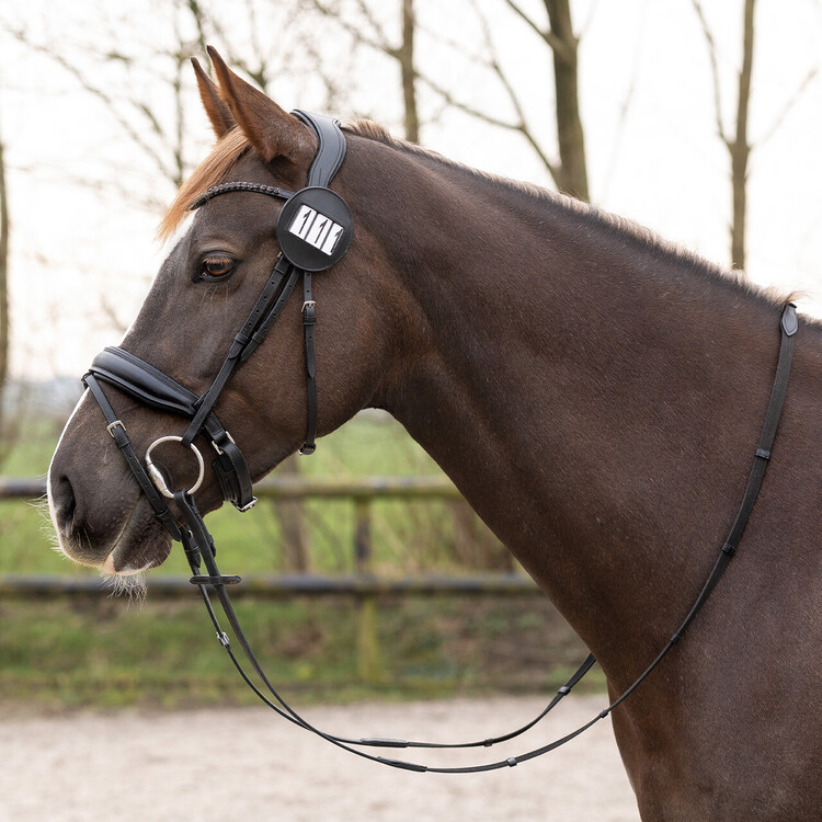 QHP Nummerhouder Modeste round