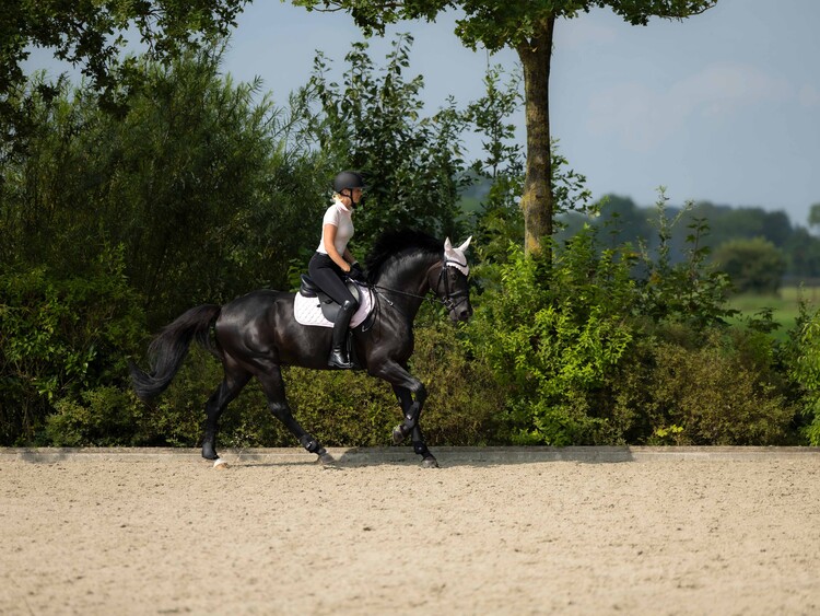 HKM Poloshirt Catherine