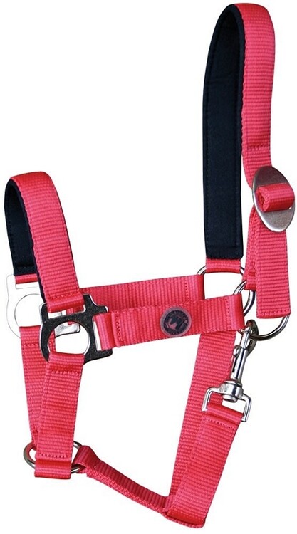 Harry's Horse Halster Padded