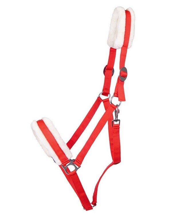 QHP Halster Cali trekpaard