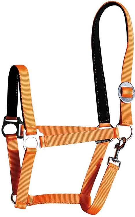 Harry's Horse Halster Padded